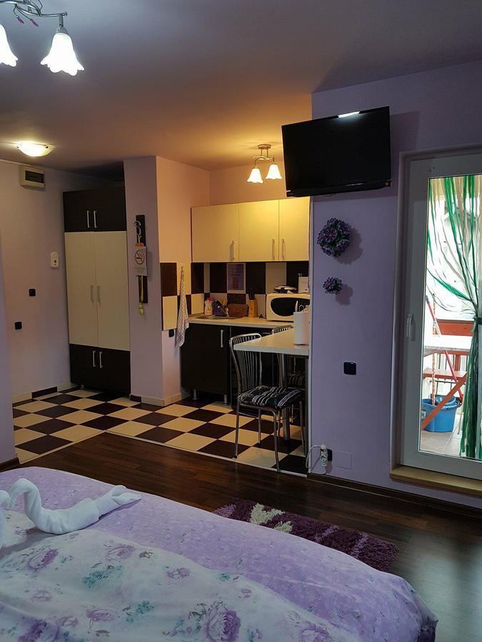 Băile FelixGarsoniera Cristina公寓 外观 照片