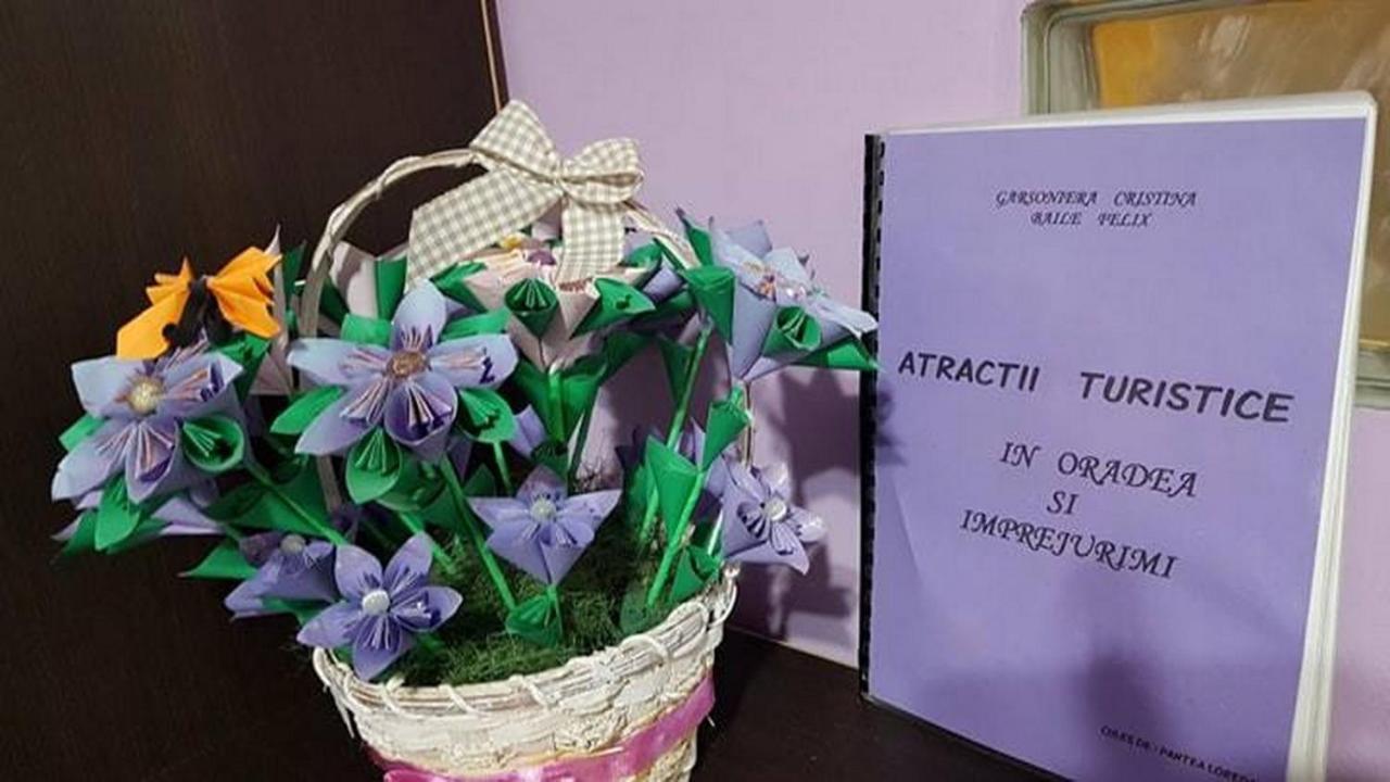 Băile FelixGarsoniera Cristina公寓 外观 照片